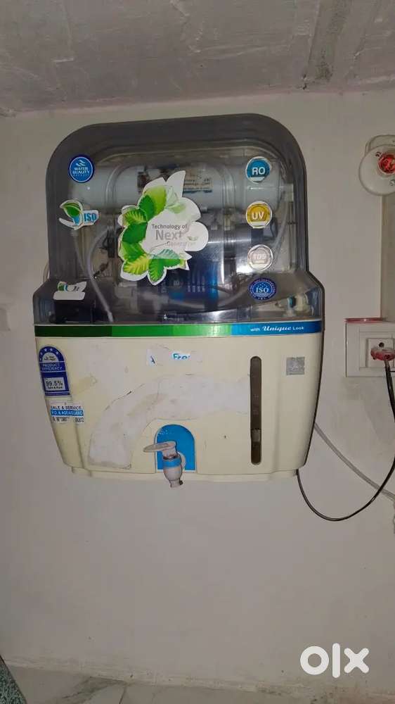 Only for 6 month use