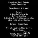 REAL ESTATE SALES EXECUTIVE