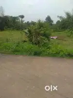 Open land for sale