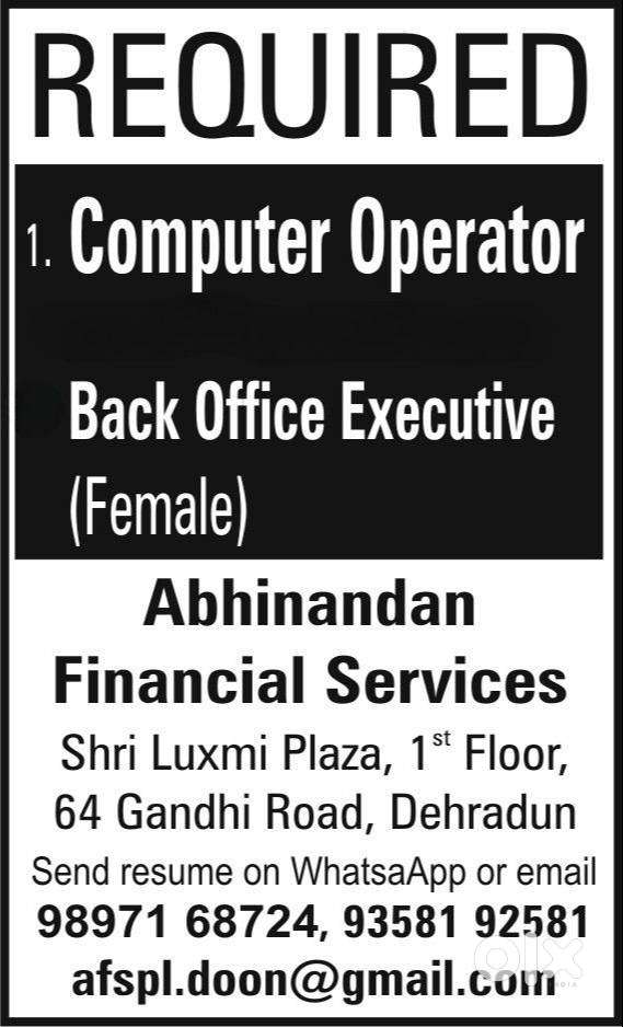 Back office executive