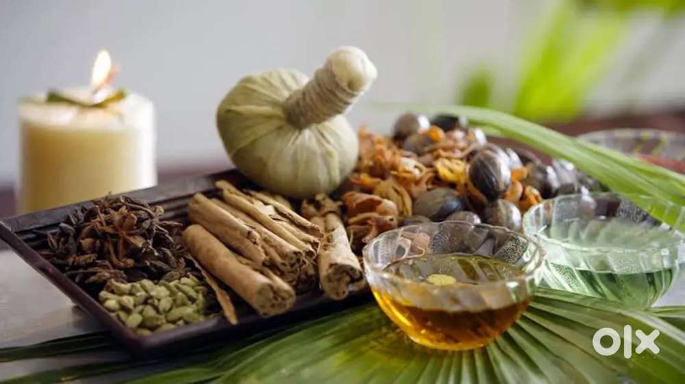 Female cook wanted .young cock .then veetle stay pannikalam.