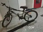 GANG CYCLE