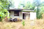 House near Puthuppally 2 bed 1100 sq feet 11 cent 28 lakhs