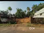Prime location with 12.5cent for sale(near underpass-ollur forane)