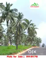 8 Cent House plot for sale in Viyyakurissi,Palakkad