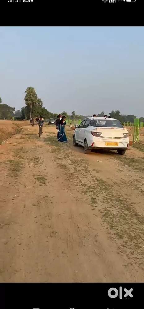 Mega plotting project