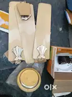 Wall fan and seeling fan