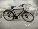 Renger cycle