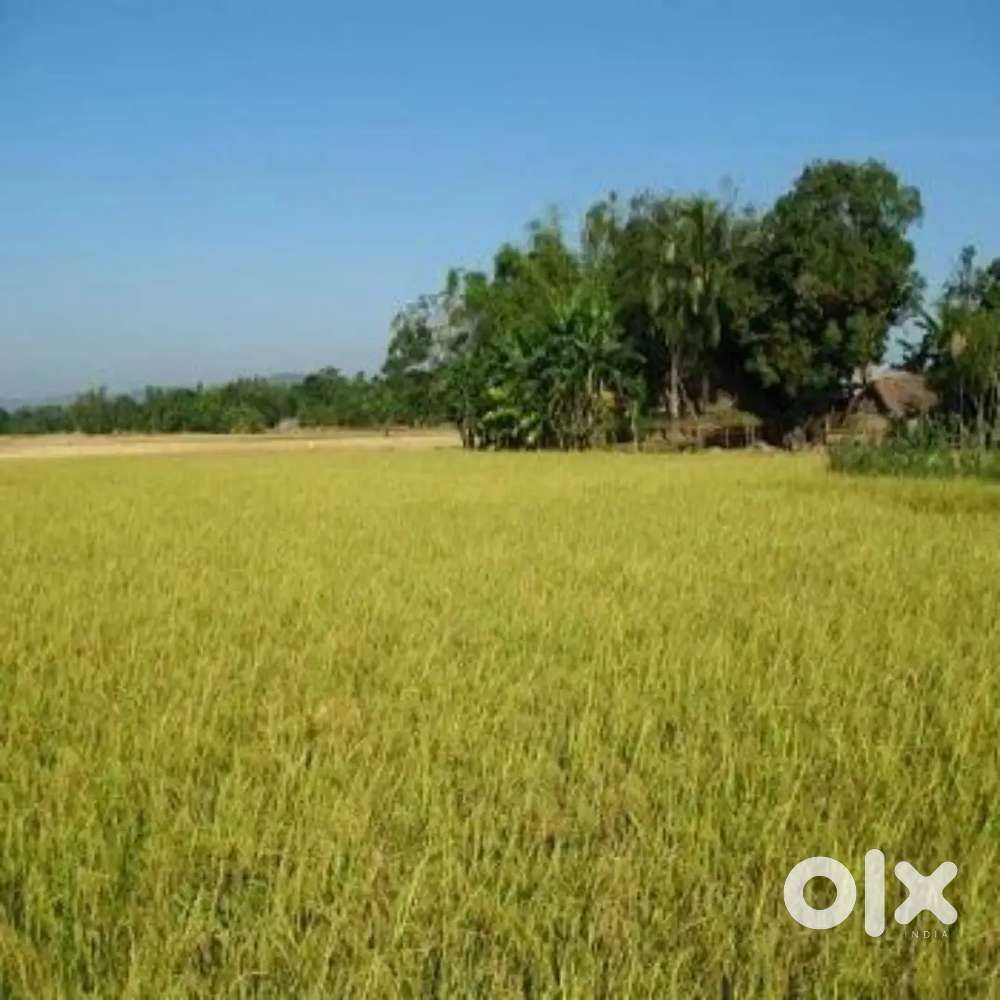 AGRICULTURE LAND FOR SALE