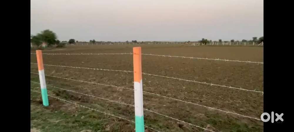 7.25 Bigha Agriculture land