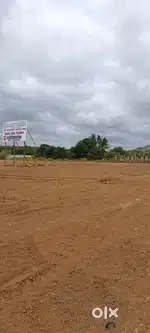 Investment