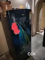 Whirlpool 236L 5 star (Purchased April 2025)