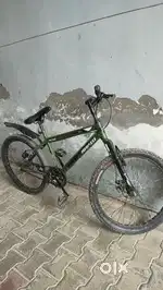 Alpha rapid cycle