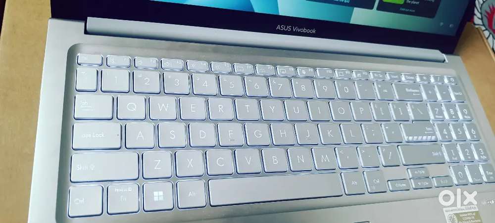 Asus vivobook 15 go