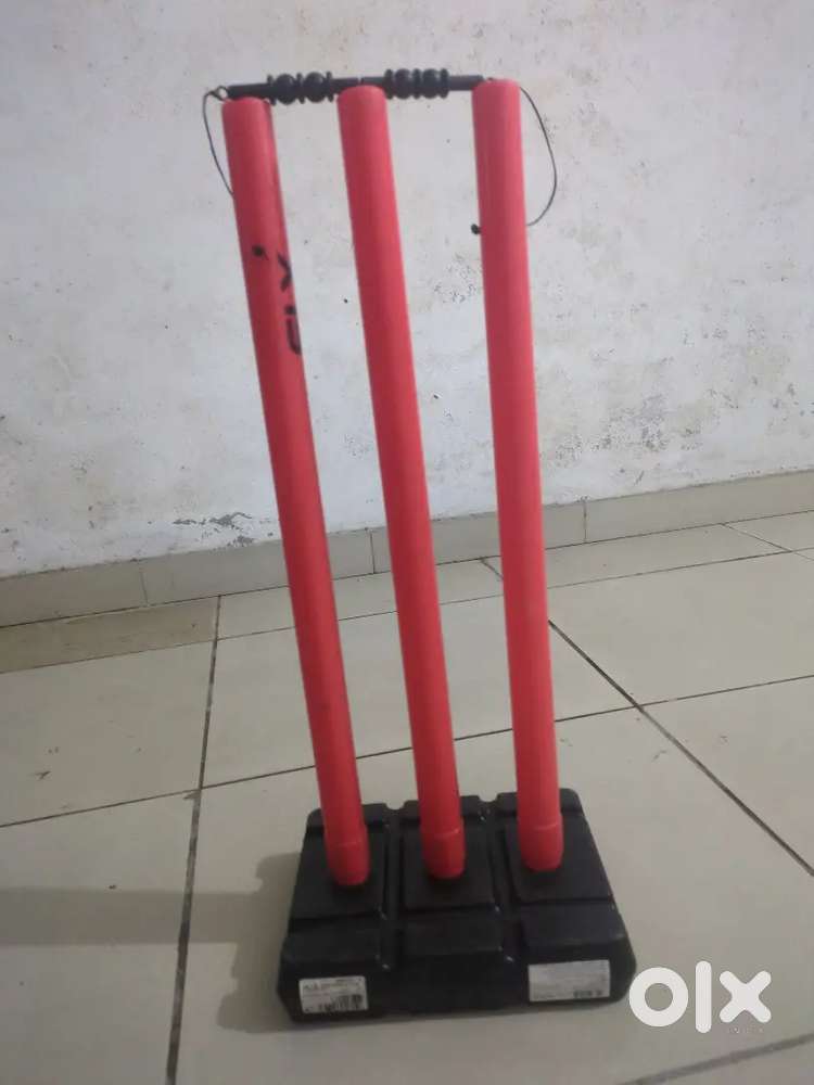 Stumps cricket