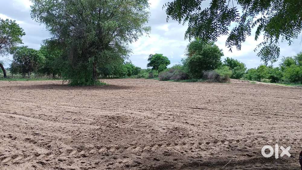 Agriculture Land for Sale – Sanand, Govinda Gam (Ahmedabad)