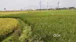 Clear Title Land for Sale – 42 Ankanams | Near Tirupati Airport