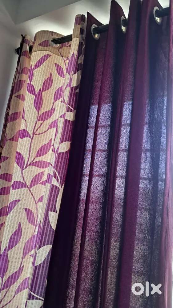 Window curtain