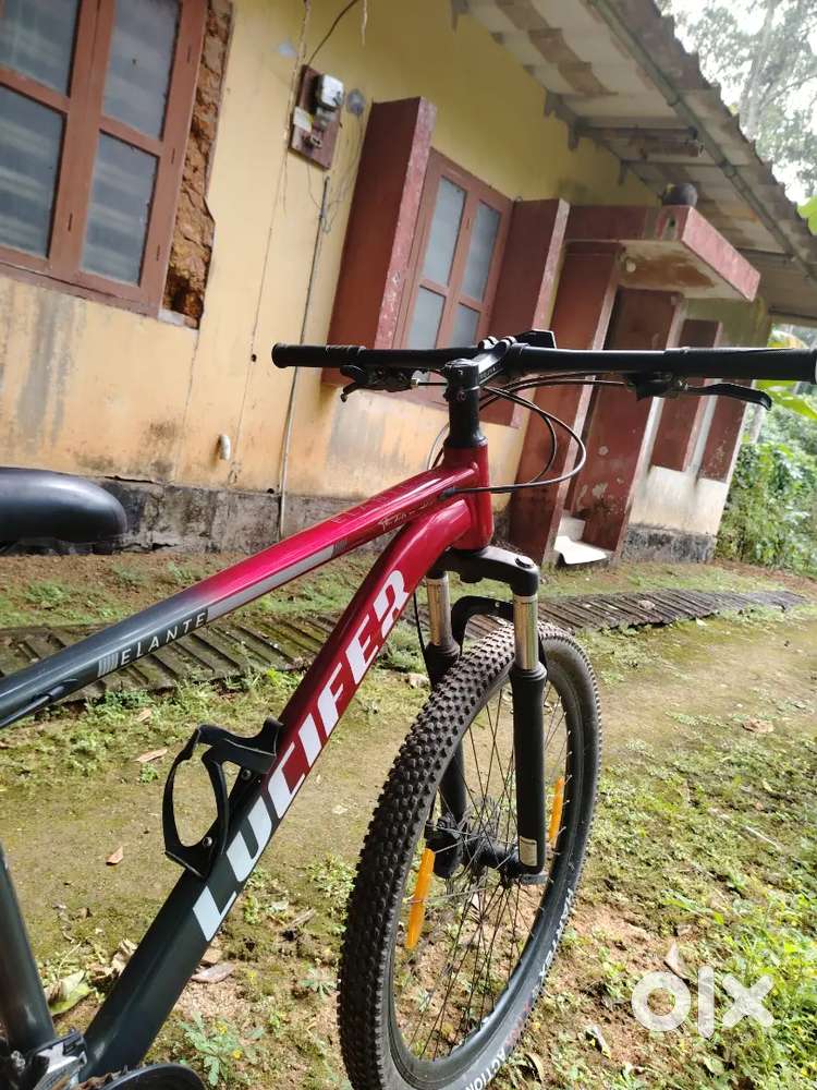 Brand Lucifer rare frame cycle