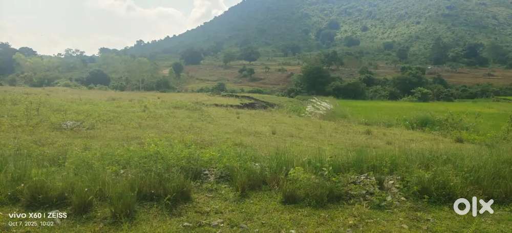 Agriculture & commercial, lands for sale,and lease also available.