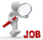 Freshers & Experience