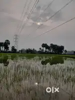 Farming land.