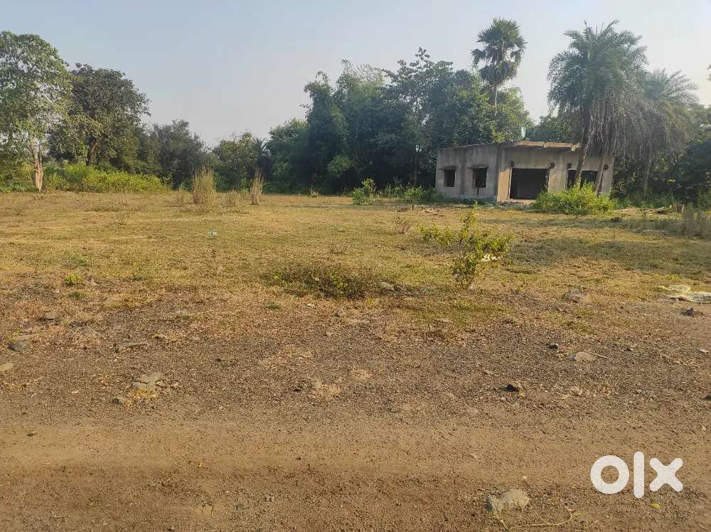 1 bigha plot sale near blue factory