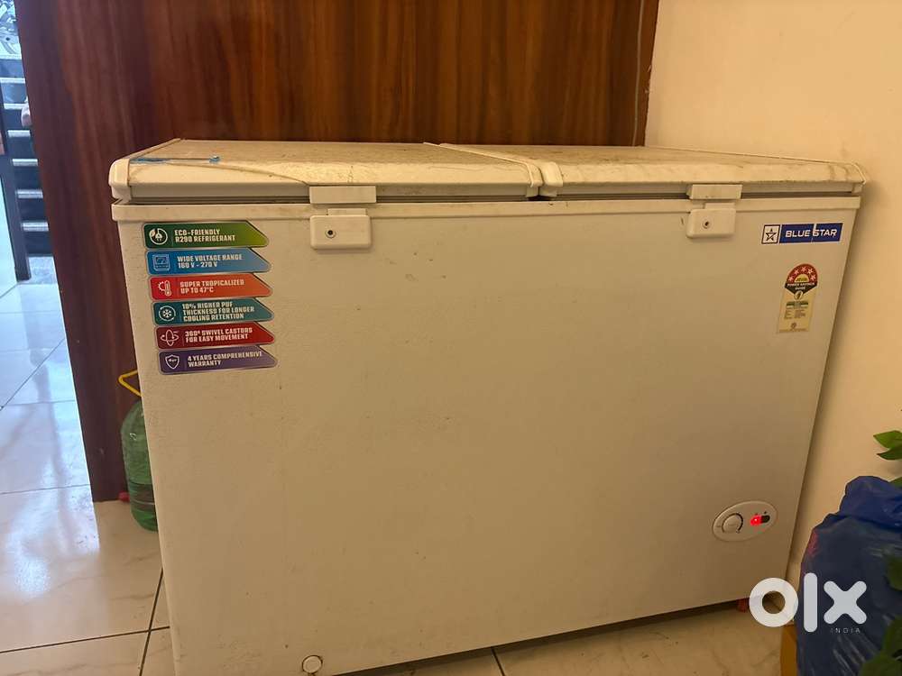 Blue Star Deep Fridge