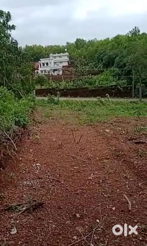 10 cent Housing Plot cheruthazham school near