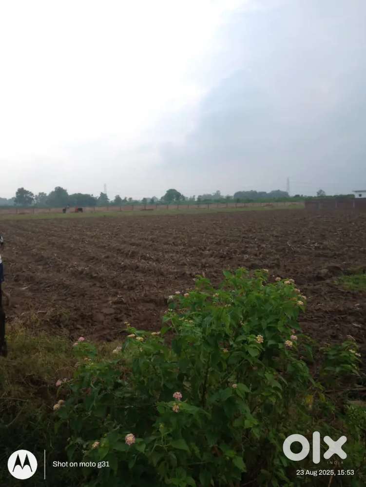 Bihta International Airport ke Pass