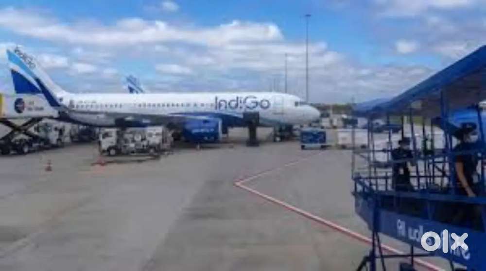 Fresher Male, Female Both Candidate Apply Jobs In IndiGo Airlines