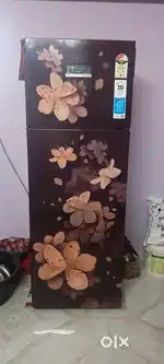Bosch double door fridge