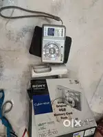 Sony 12.1 megapixel