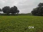 11cent plot for sale