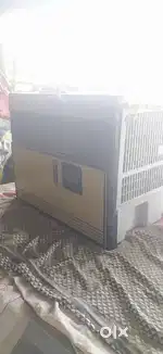 Air cooler