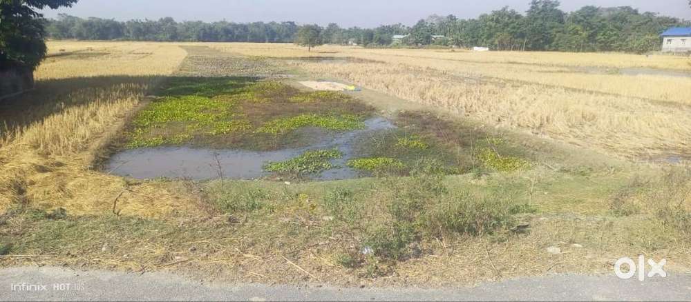 2 bigha 2 katha 2 lesa plot for sale