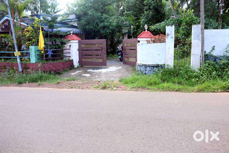 Land 36 cent at PWD road side near Panampalam 4 lakh/cent
