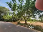 @₹2999/SQ MTS RESIDENTIAL PLOT AT DHARBANDODA, AREA -300 SQ MT