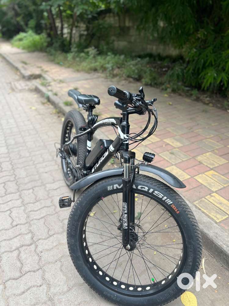 Sturdy Electric Bike