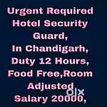 5 Star Hotel Security Guard Job Chandigarh 96