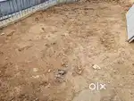 Urgently sell my land.