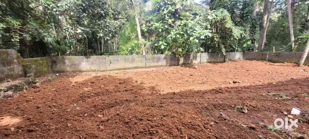 Pullannivila Karyavattom