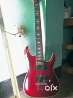 Schecter Guitar
