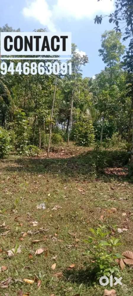 പാലാ - പൊൻകുന്നം ഹൈ വേ റോഡിന് അടുത്ത് 30 cent സ്ഥലം വിൽപനക്ക്.