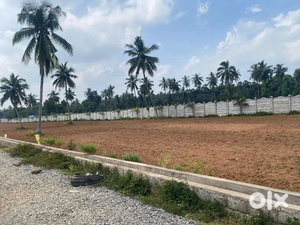 Huge profit plots near Bhogapuram International Airport
