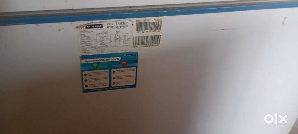Blue Star freezer