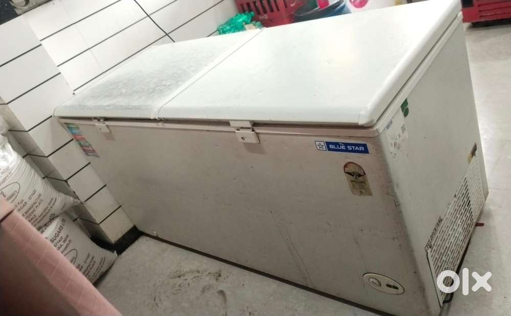 freezer Blue Star sale