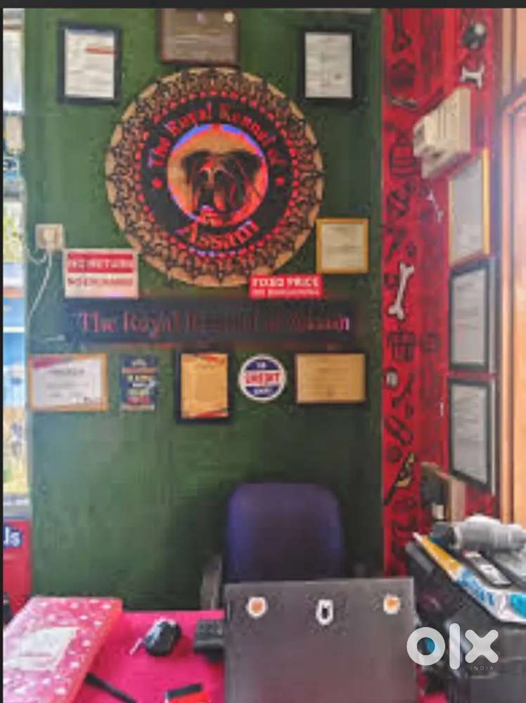 Need a female Receptionist for Pet shop and clinic