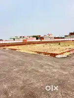 100 Gaj plot 22 front