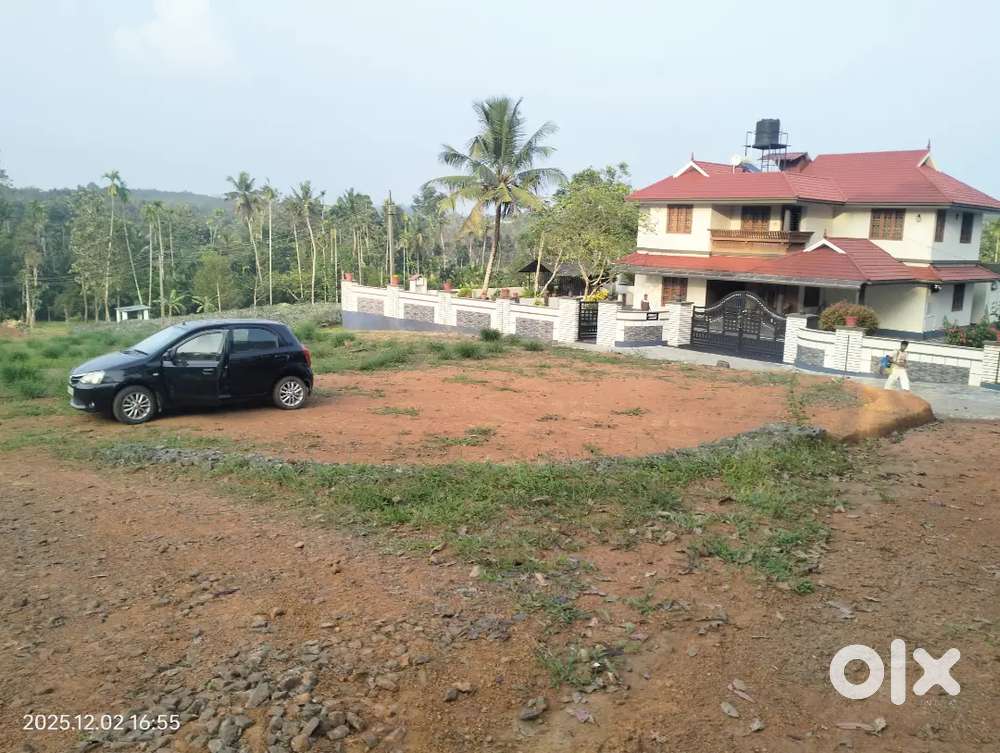 Infopark puthenkurish pathammayil plot for sale